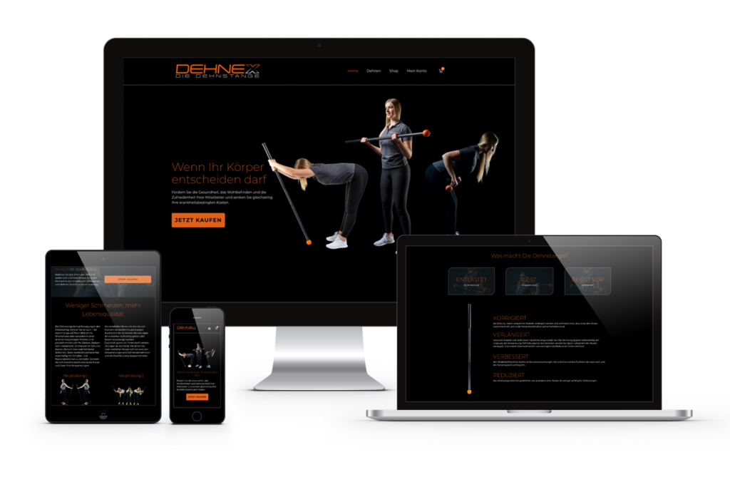 webdesign-referenz dehnex von königs design